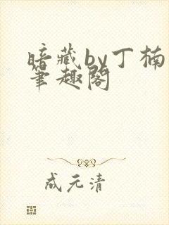 暗藏by丁楠楠笔趣阁