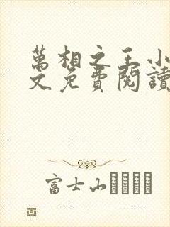 万相之王小说全文免费阅读无弹窗