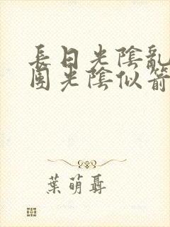 长日光阴乱作一团光阴似箭教主封面