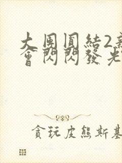 大团圆结2亲情会闪闪发光亲情会2