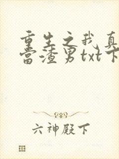 重生之我真没想当渣男txt下载封面