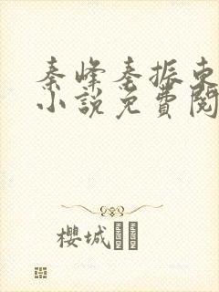 秦峰秦振东主角小说免费阅读官场小说