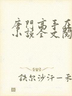 唐门高手在异世小说全文阅读封面