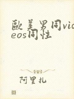 欧美男同videos同性