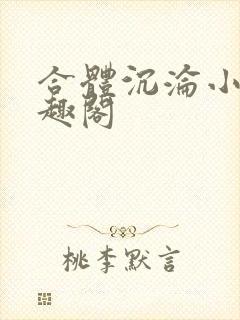 合体沉沦小说笔趣阁封面