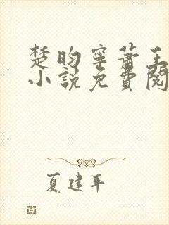 楚昀宁萧王穿越小说免费阅读无弹窗