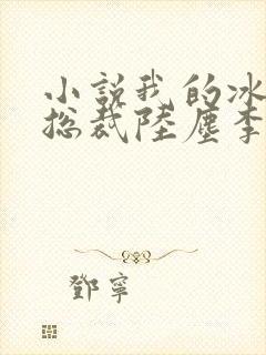 小说我的冰山女总裁陆尘李清瑶免费阅读