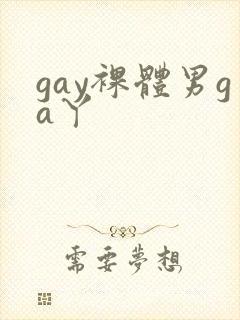 gay裸体男ga丫