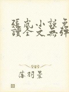 张岚小说免费阅读全文无弹窗封面