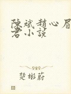 陈斌赵心眉高婉君小说