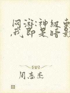 网游:神级刺客,我即是暗影封面