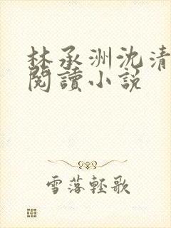林承洲沈清免费阅读小说封面