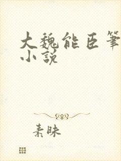 大魏能臣笔趣阁小说