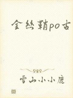 金丝鞘po古言封面