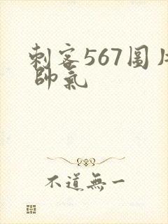 刺客567图片 帅气