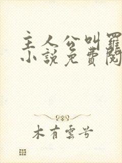 主人公叫罗铮的小说免费阅读笔趣阁