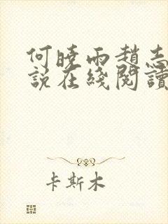 何晓雨赵志远小说在线阅读封面