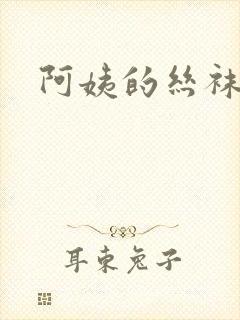 阿姨的丝袜小说