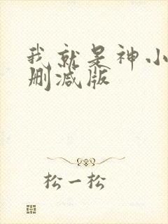 我就是神小说无删减版