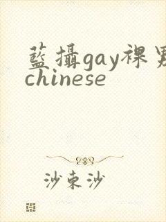 蓝摄gay裸男chinese