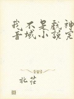 我不是戏神三九音域小说完全版封面