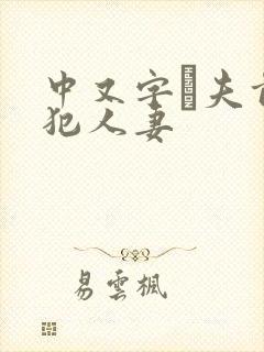 中又字菷夫前侵犯人妻封面