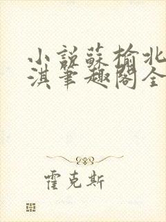 小说苏榆北高梓淇笔趣阁全文