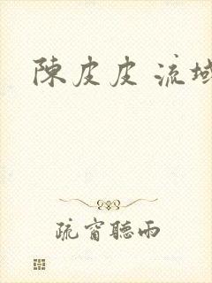 陈皮皮 流域风封面