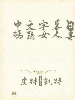 中文字幕日韩有码熟女人妻