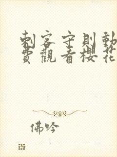 刺客守则动漫免费观看樱花动漫