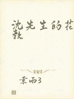 沈先生的花式管教