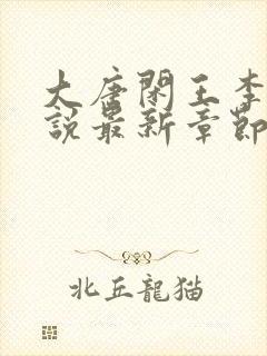 大唐闲王李慎小说最新章节列表