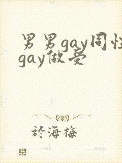 男男gay同性gay做受封面
