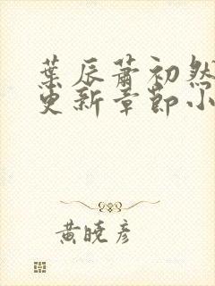 叶辰萧初然最新更新章节小说封面