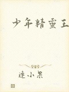 少年精灵王