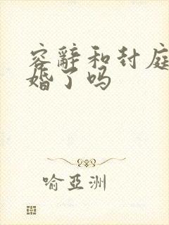 容辞和封庭深离婚了吗封面