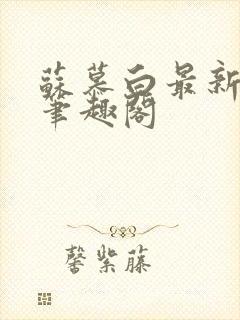 苏慕白最新更新笔趣阁