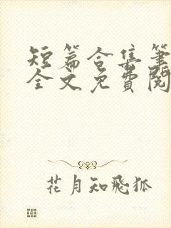 短篇合集笔趣阁全文免费阅读无弹窗