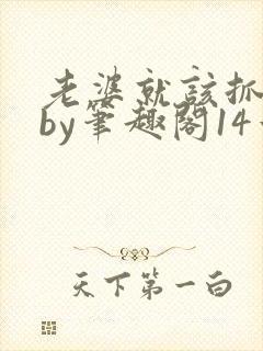 老婆就该抓起来by笔趣阁14章免费阅读