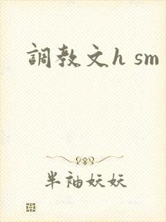 调教文h sm