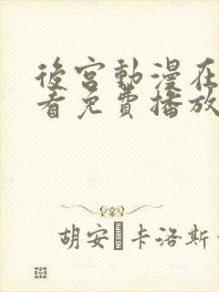 后宫动漫在线观看免费播放全集