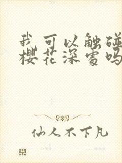 我可以触碰你的樱花深处吗