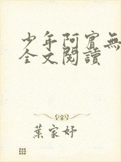 少年阿宾无删减全文阅读