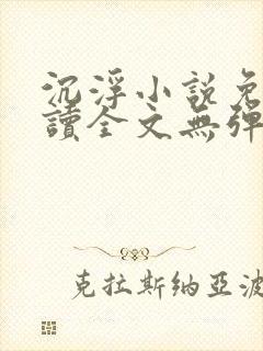 沉浮小说免费阅读全文无弹窗封面