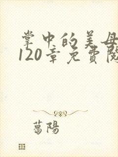 掌中的美母版主120章免费阅读