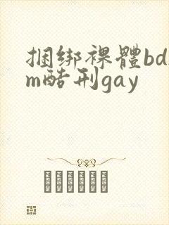 捆绑裸体bdsm酷刑gay
