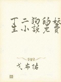 丁二狗的妖孽人生小说免费阅读全文封面