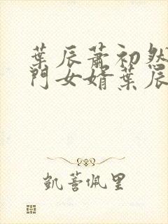 叶辰萧初然 上门女婿叶辰