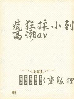 疯狂揉小到失禁高潮av