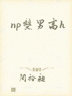 np双男高h